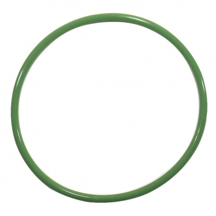098701 GASKET