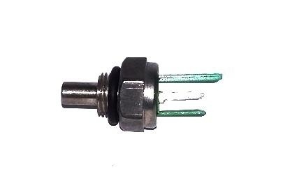 255248 TEMPERATURE PROBE