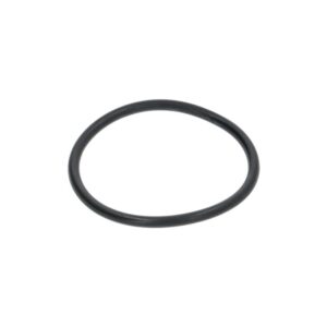 10060118 GASKET