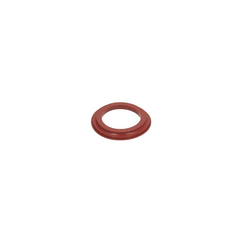 10081385 LIP SEAL FOR CAPSULE