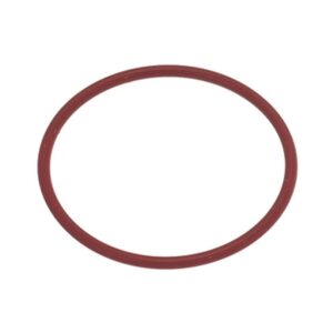 10060118 GASKET