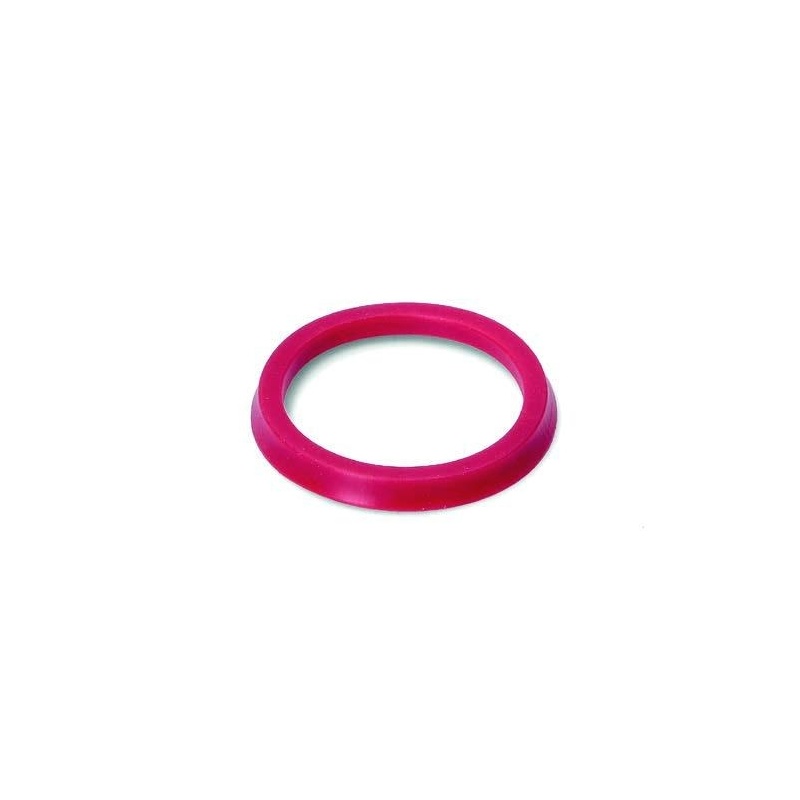 10081378 LIP SEAL ø 48x38x5 mm