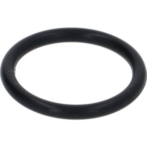 10060118 GASKET