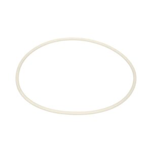 10060118 GASKET