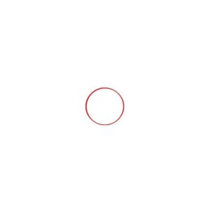 10060118 GASKET