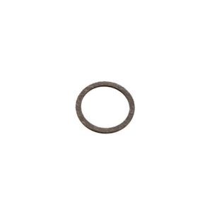 10060118 GASKET