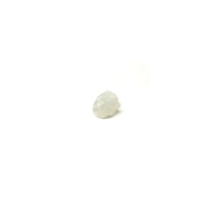 10060112 PRESA IEC 4,8 GWT 750-ECL