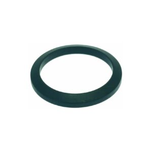 10060118 GASKET