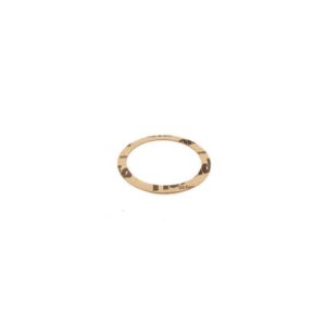 10060118 GASKET